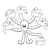 Octopus with Chests Line PNG