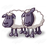Two Sheep