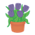 Purple Tulips Color PNG