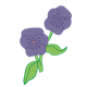Purple Pansies 