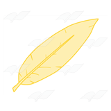 Light Yellow Feather