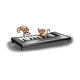 Mice Making Music on a keyboard