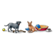 Dogs with toys