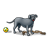 Gray Dog Color PNG