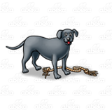 Gray Dog