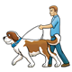 Man Walking Dog on leash