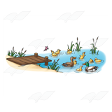 Duck Pond Scene