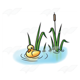 Duckling with Cattails