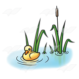 Duckling with Cattails