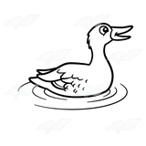 Mother Mallard Duck