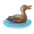 Mother Mallard Duck Color PNG