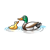 Father Mallard Duck with Duckling Color PNG