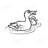 Mother Mallard Duck with Duckling