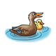 Mother Mallard Duck with Duckling 