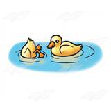 Two Ducklings