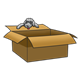 Gray Puppy on a box
