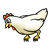 Chicken Color PNG