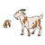 Goats Color PDF