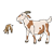 Goats Color PNG