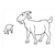 Goats Line PDF