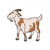 Billy Goat Color PDF