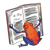 Frog Reading Story Color PNG