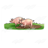 Pig Family in the Mud