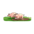 Pig Family in the Mud Color PNG