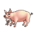 Pigs Color PNG