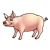 Standing Pig Color PNG