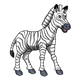 Baby Zebra 