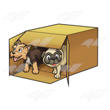 Box of Puppies