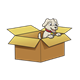 Puppy in Box one puppy