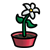 White Daisy Color PNG