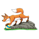 Fox with Ball on rock