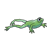 Swimming Frog Color PNG