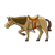 Saddled Horse Color PNG