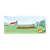 Garden on the Farm Color PNG
