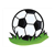 Soccerball Color PDF