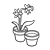 Pots of Daffodils Line PNG