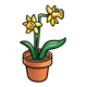 Daffodils in a Pot 