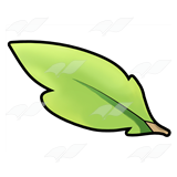 Green Leaf 1