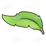 Green Leaf 3
