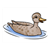 Mallard Duck Color PDF