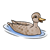 Mallard Duck Color PNG