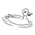 Mallard Duck Line PDF