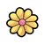 Flower Head Color PDF
