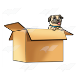 Pug Puppy in Box