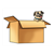 Pug Puppy in Box Color PDF