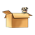 Pug Puppy in Box Color PNG
